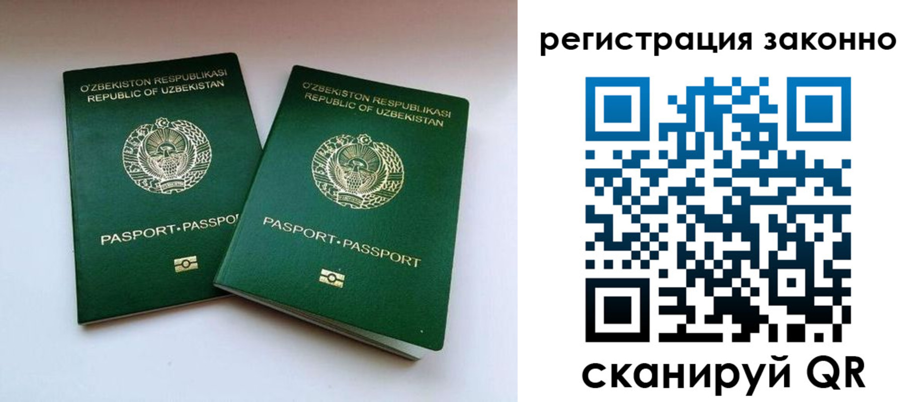 прописка гарантия в Сельцо